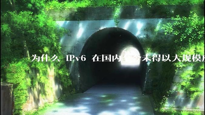 为什么 IPv6 在国内至今未得以大规模应用?